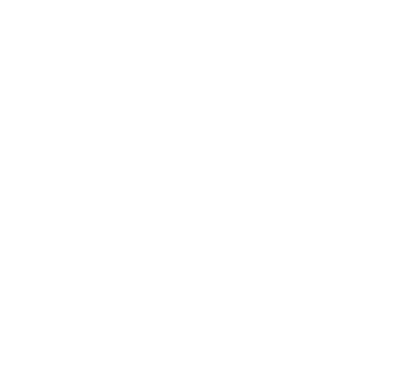 Swans Bridal